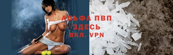 индика Богданович