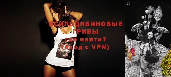 jwh Богородицк