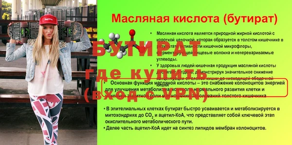 индика Богданович