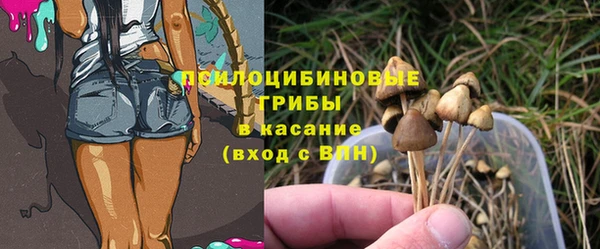 индика Богданович