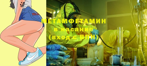 индика Богданович