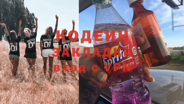 индика Богданович