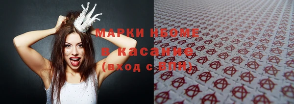 индика Богданович
