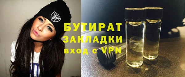 индика Богданович